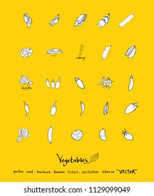 Hand drawn food ingredients - vegetable and fruit illustrations - vector