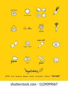Hand drawn food ingredients - vegetable and fruit illustrations - vector
