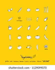 Hand drawn food ingredients - vegetable and fruit illustrations - vector