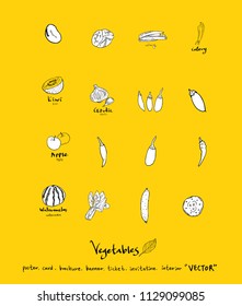 Hand drawn food ingredients - vegetable and fruit illustrations - vector
