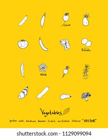 Hand drawn food ingredients - vegetable and fruit illustrations - vector