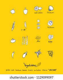 Hand drawn food ingredients - vegetable and fruit illustrations - vector