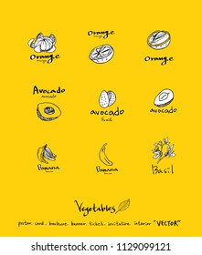 Hand drawn food ingredients - vegetable and fruit illustrations - vector