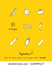 Hand drawn food ingredients - vegetable and fruit illustrations - vector