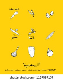 Hand drawn food ingredients - vegetable and fruit illustrations - vector