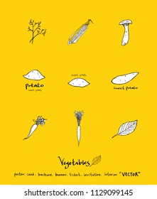 Hand drawn food ingredients - vegetable and fruit illustrations - vector