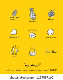 Hand drawn food ingredients - vegetable and fruit illustrations - vector
