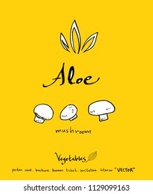 Hand drawn food ingredients - vegetable and fruit illustrations - vector