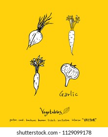 Hand drawn food ingredients - vegetable and fruit illustrations - vector