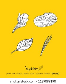 Hand drawn food ingredients - vegetable and fruit illustrations - vector