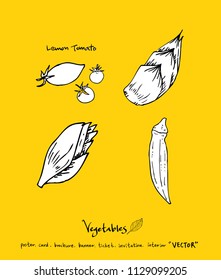 Hand drawn food ingredients - vegetable and fruit illustrations - vector