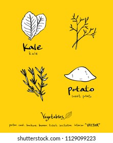 Hand drawn food ingredients - vegetable and fruit illustrations - vector