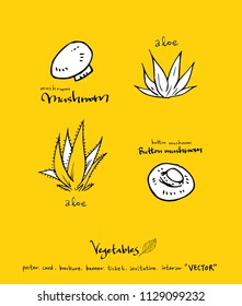 Hand drawn food ingredients - vegetable and fruit illustrations - vector