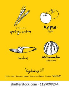 Hand drawn food ingredients - vegetable and fruit illustrations - vector