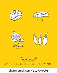Hand drawn food ingredients - vegetable and fruit illustrations - vector