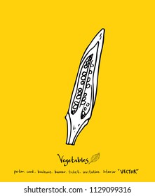 Hand drawn food ingredients - vegetable and fruit illustrations - vector