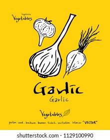 Hand drawn food ingredients - vegetable and fruit illustrations - vector