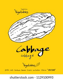 Hand drawn food ingredients - vegetable and fruit illustrations - vector