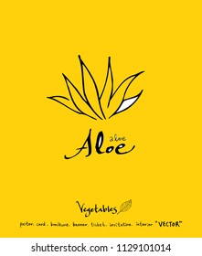 Hand drawn food ingredients - vegetable and fruit illustrations - vector