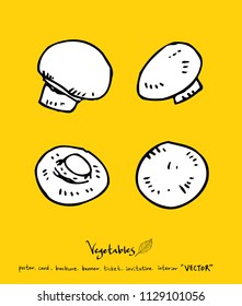 Hand drawn food ingredients - vegetable and fruit illustrations - vector