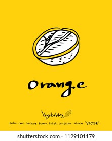 Hand drawn food ingredients - vegetable and fruit illustrations - vector