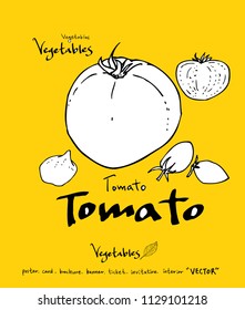 Hand drawn food ingredients - vegetable and fruit illustrations - vector