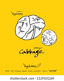 Hand drawn food ingredients - vegetable and fruit illustrations - vector