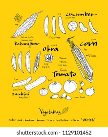 Hand drawn food ingredients - vegetable and fruit illustrations - vector