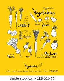 Hand drawn food ingredients - vegetable and fruit illustrations - vector