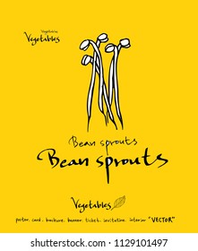 Hand drawn food ingredients - vegetable and fruit illustrations - vector