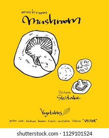 Hand drawn food ingredients - vegetable and fruit illustrations - vector