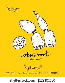 Hand drawn food ingredients - vegetable and fruit illustrations - vector