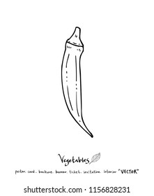 Hand drawn food ingredients - vegetable and fruit illustrations - vector