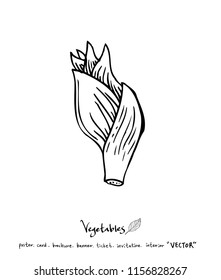 Hand drawn food ingredients - vegetable and fruit illustrations - vector