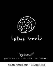 Hand drawn food ingredients - vegetable and fruit illustrations - vector