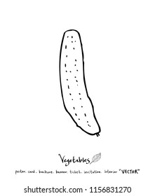 Hand drawn food ingredients - vegetable and fruit illustrations - vector