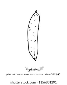 Hand drawn food ingredients - vegetable and fruit illustrations - vector