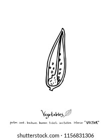 Hand drawn food ingredients - vegetable and fruit illustrations - vector