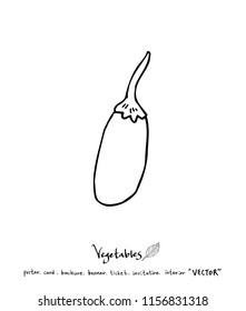 Hand drawn food ingredients - vegetable and fruit illustrations - vector