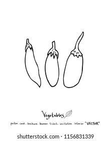 Hand drawn food ingredients - vegetable and fruit illustrations - vector