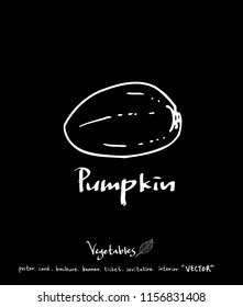 Hand drawn food ingredients - vegetable and fruit illustrations - vector