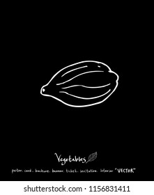 Hand drawn food ingredients - vegetable and fruit illustrations - vector