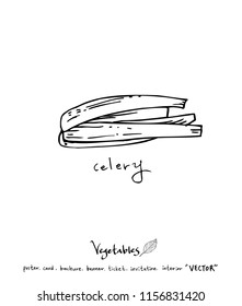 Hand drawn food ingredients - vegetable and fruit illustrations - vector
