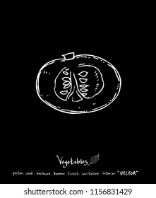 Hand drawn food ingredients - vegetable and fruit illustrations - vector