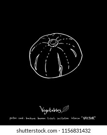 Hand drawn food ingredients - vegetable and fruit illustrations - vector