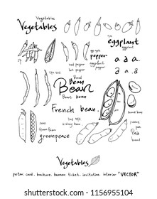 Hand drawn food ingredients - vegetable and fruit illustrations - vector