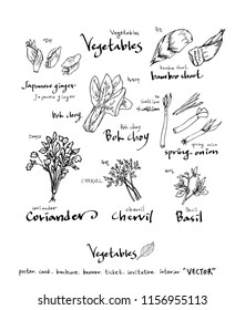 Hand drawn food ingredients - vegetable and fruit illustrations - vector