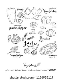 Hand drawn food ingredients - vegetable and fruit illustrations - vector