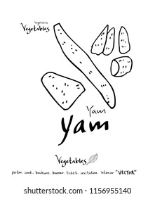 Hand drawn food ingredients - vegetable and fruit illustrations - vector
