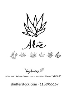 Hand drawn food ingredients - vegetable and fruit illustrations - vector